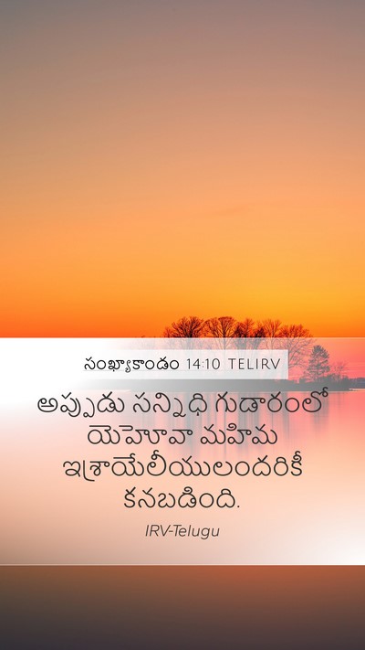 సంఖ్యాకాండం 14:10 TELIRV Mobile Phone Wallpaper - అప్పుడు సన్నిధి - Mobile Bible Verse Wallpaper