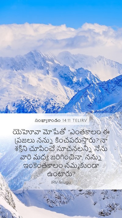 సంఖ్యాకాండం 14:11 TELIRV Bible Verse Image