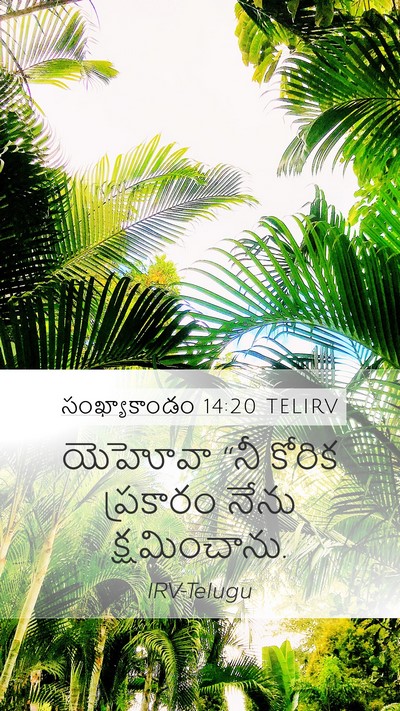 సంఖ్యాకాండం 14:20 TELIRV Bible Verse Image