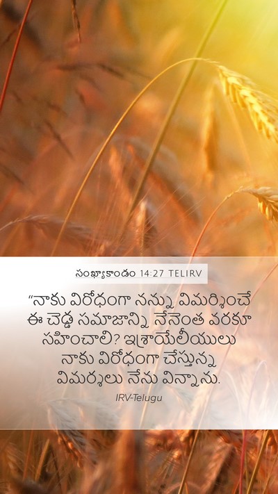 సంఖ్యాకాండం 14:27 TELIRV Bible Verse Image