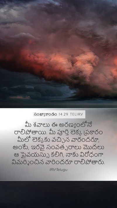 సంఖ్యాకాండం 14:29 TELIRV Bible Verse Image
