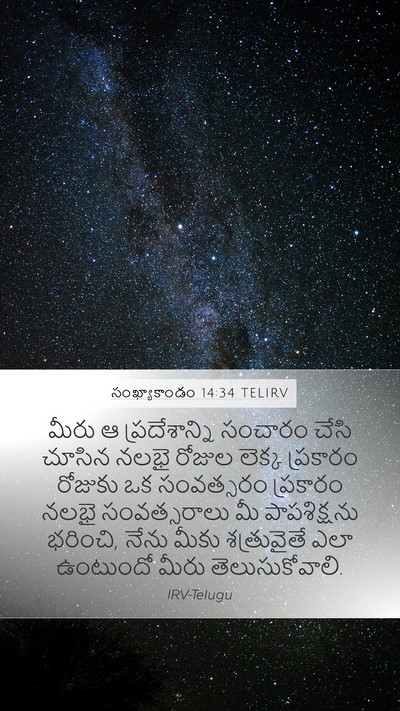 సంఖ్యాకాండం 14:34 TELIRV Bible Verse Image