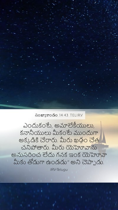 సంఖ్యాకాండం 14:43 TELIRV Mobile Phone Wallpaper - ఎందుకంటే, - Mobile Bible Verse Wallpaper