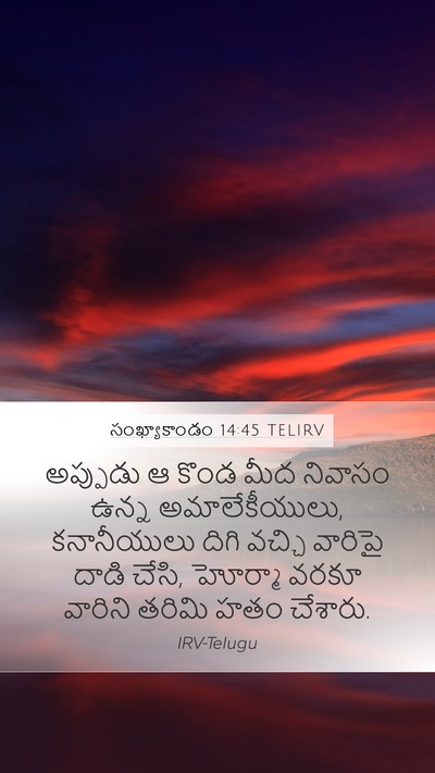 సంఖ్యాకాండం 14:45 TELIRV Bible Verse Image