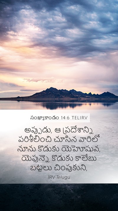 సంఖ్యాకాండం 14:6 TELIRV Bible Verse Image