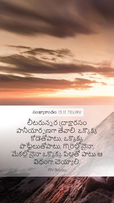 సంఖ్యాకాండం 15:11 TELIRV Mobile Phone Wallpaper - లీటరున్నర - Mobile Bible Verse Wallpaper