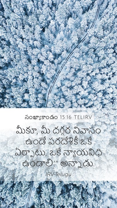 సంఖ్యాకాండం 15:16 TELIRV Bible Verse Image
