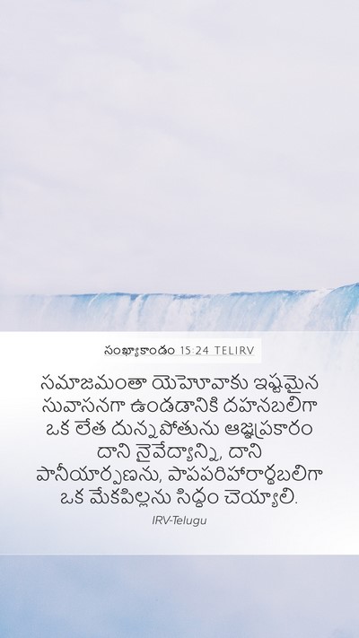 సంఖ్యాకాండం 15:24 TELIRV Bible Verse Image