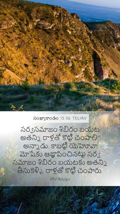 సంఖ్యాకాండం 15:36 TELIRV Bible Verse Image