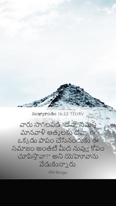 సంఖ్యాకాండం 16:22 TELIRV Bible Verse Image