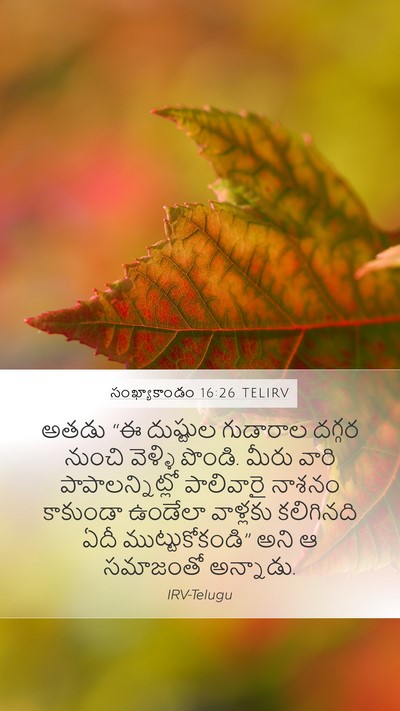 సంఖ్యాకాండం 16:26 TELIRV Bible Verse Image