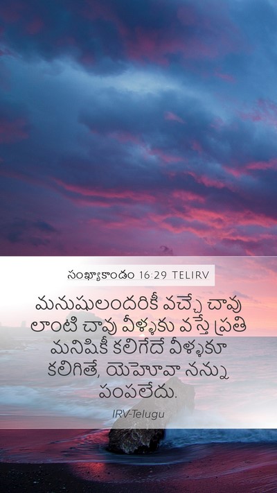 సంఖ్యాకాండం 16:29 TELIRV Mobile Phone Wallpaper - మనుషులందరికీ - Mobile Bible Verse Wallpaper