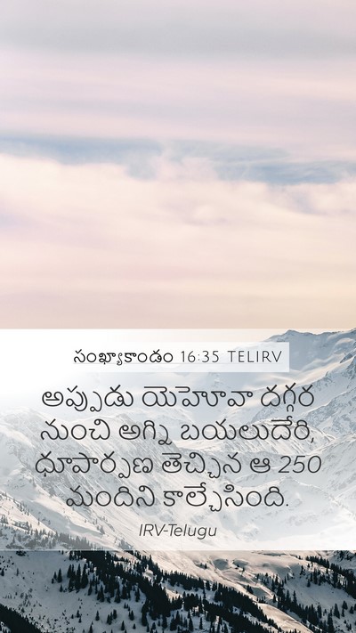 సంఖ్యాకాండం 16:35 TELIRV Bible Verse Image