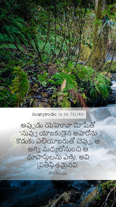 సంఖ్యాకాండం 16:36 TELIRV Mobile Phone Wallpaper - అప్పుడు యెహోవా - Mobile Bible Verse Wallpaper