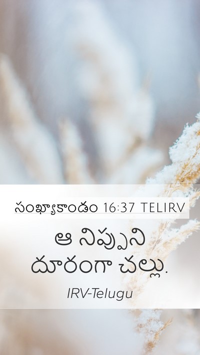 సంఖ్యాకాండం 16:37 TELIRV Bible Verse Image