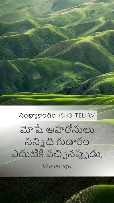 సంఖ్యాకాండం 16:43 TELIRV Mobile Phone Wallpaper - మోషే అహరోనులు - Mobile Bible Verse Wallpaper