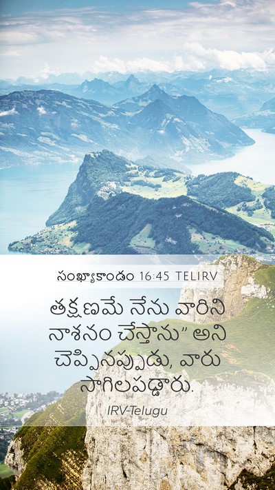 సంఖ్యాకాండం 16:45 TELIRV Bible Verse Image