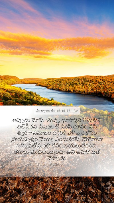 సంఖ్యాకాండం 16:46 TELIRV Bible Verse Image