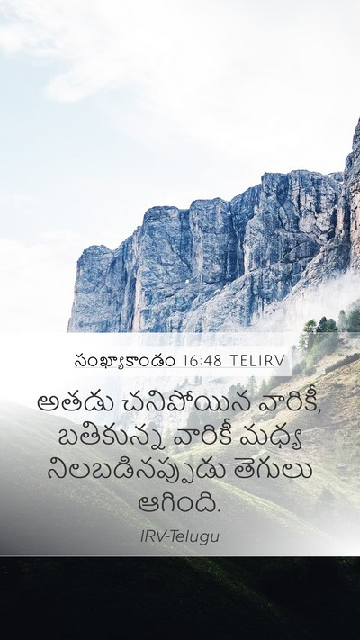 సంఖ్యాకాండం 16:48 TELIRV Mobile Phone Wallpaper - అతడు చనిపోయిన - Mobile Bible Verse Wallpaper