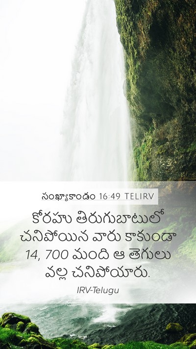 సంఖ్యాకాండం 16:49 TELIRV Bible Verse Image