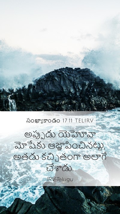 సంఖ్యాకాండం 17:11 TELIRV Mobile Phone Wallpaper - అప్పుడు యెహోవా - Mobile Bible Verse Wallpaper