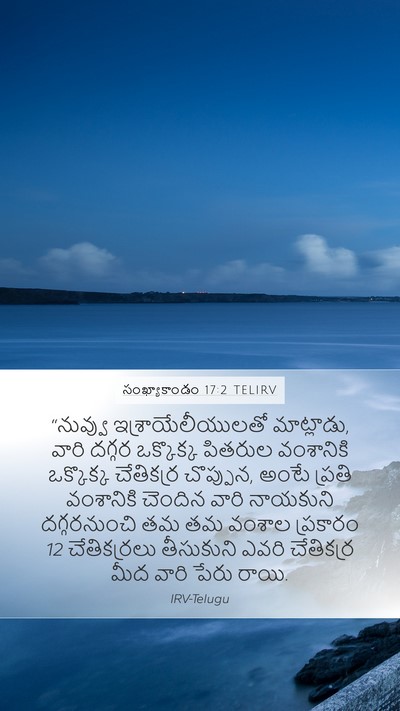 సంఖ్యాకాండం 17:2 TELIRV Mobile Phone Wallpaper - “నువ్వు - Mobile Bible Verse Wallpaper