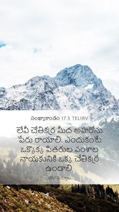 సంఖ్యాకాండం 17:3 TELIRV Bible Verse Image