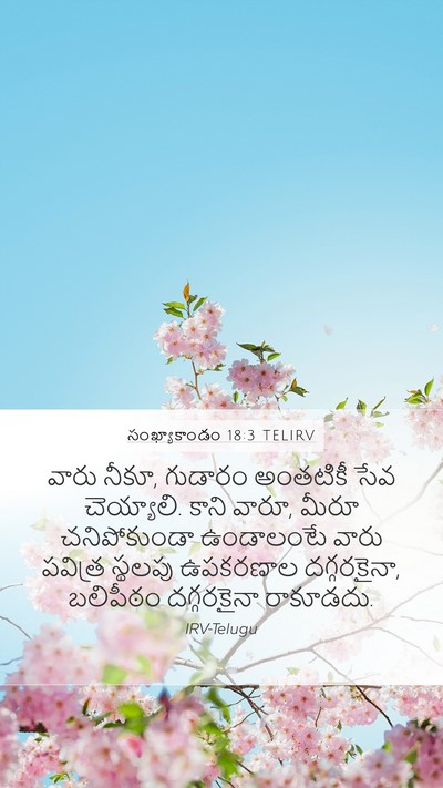 సంఖ్యాకాండం 18:3 TELIRV Bible Verse Image
