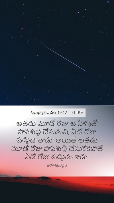 సంఖ్యాకాండం 19:12 TELIRV Bible Verse Image