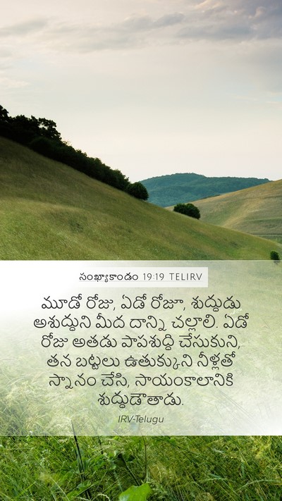 సంఖ్యాకాండం 19:19 TELIRV Bible Verse Image