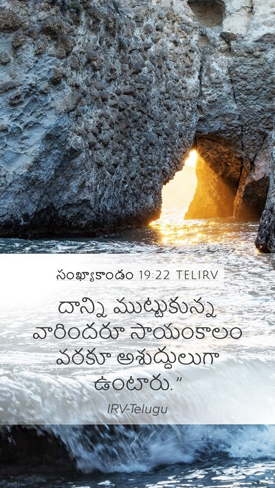 సంఖ్యాకాండం 19:22 TELIRV Bible Verse Image