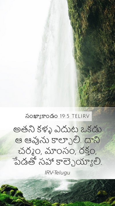 సంఖ్యాకాండం 19:5 TELIRV Mobile Phone Wallpaper - అతని కళ్ళ ఎదుట - Mobile Bible Verse Wallpaper