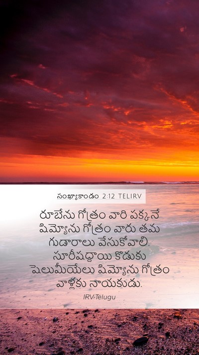 సంఖ్యాకాండం 2:12 TELIRV Bible Verse Image