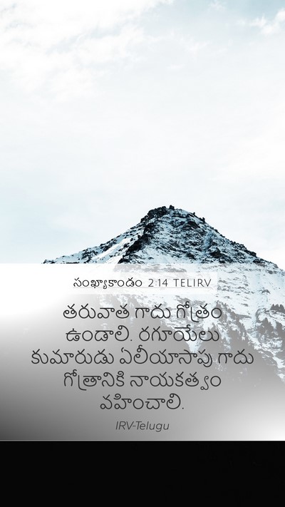 సంఖ్యాకాండం 2:14 TELIRV Bible Verse Image