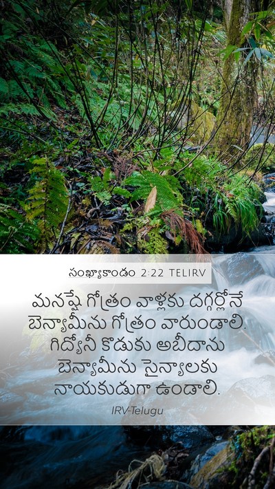 సంఖ్యాకాండం 2:22 TELIRV Bible Verse Image