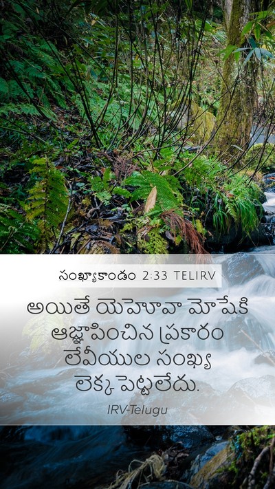 సంఖ్యాకాండం 2:33 TELIRV Bible Verse Image