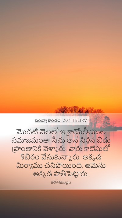 సంఖ్యాకాండం 20:1 TELIRV Bible Verse Image