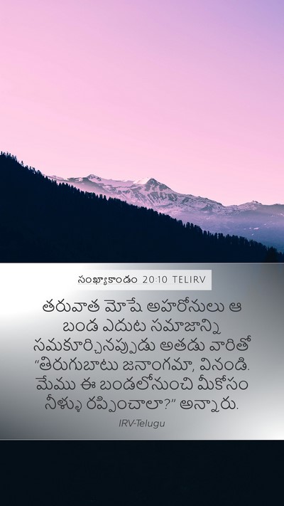 సంఖ్యాకాండం 20:10 TELIRV Bible Verse Image