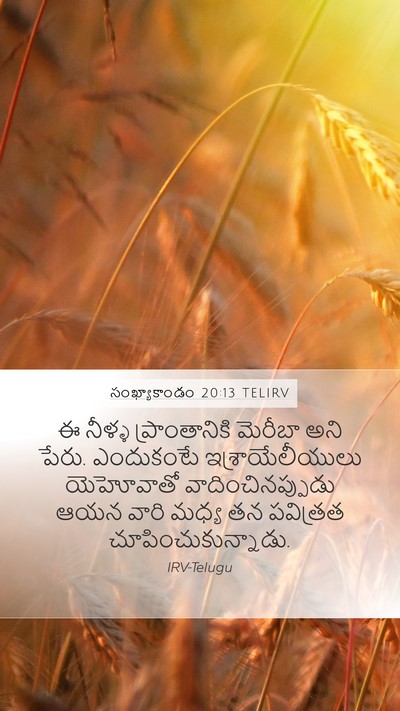 సంఖ్యాకాండం 20:13 TELIRV Bible Verse Image