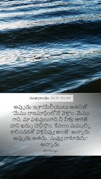 సంఖ్యాకాండం 20:19 TELIRV Bible Verse Image