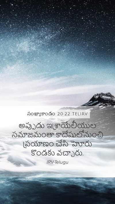 సంఖ్యాకాండం 20:22 TELIRV Bible Verse Image