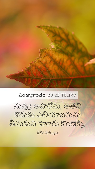 సంఖ్యాకాండం 20:25 TELIRV Bible Verse Image