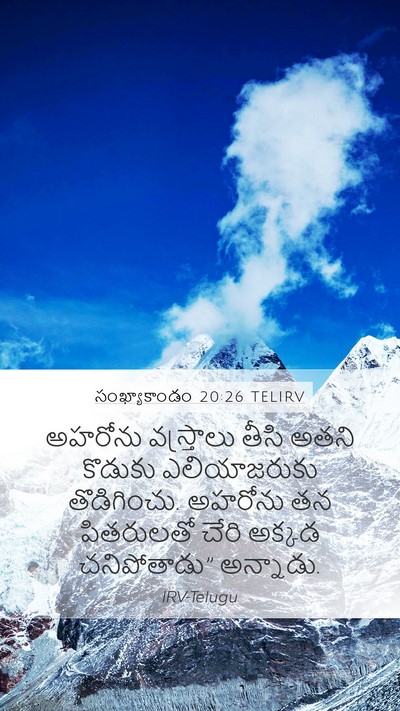 సంఖ్యాకాండం 20:26 TELIRV Mobile Phone Wallpaper - అహరోను వస్త్రాలు - Mobile Bible Verse Wallpaper