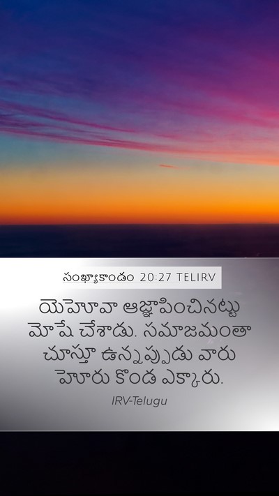 సంఖ్యాకాండం 20:27 TELIRV Bible Verse Image