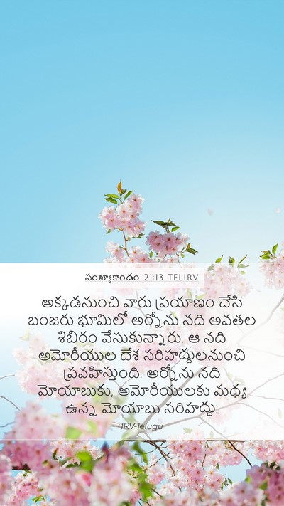 సంఖ్యాకాండం 21:13 TELIRV Bible Verse Image