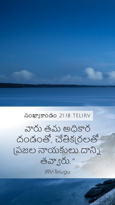 సంఖ్యాకాండం 21:18 TELIRV Mobile Phone Wallpaper - వారు తమ అధికార - Mobile Bible Verse Wallpaper