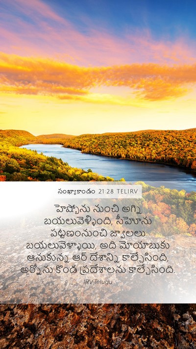 సంఖ్యాకాండం 21:28 TELIRV Bible Verse Image