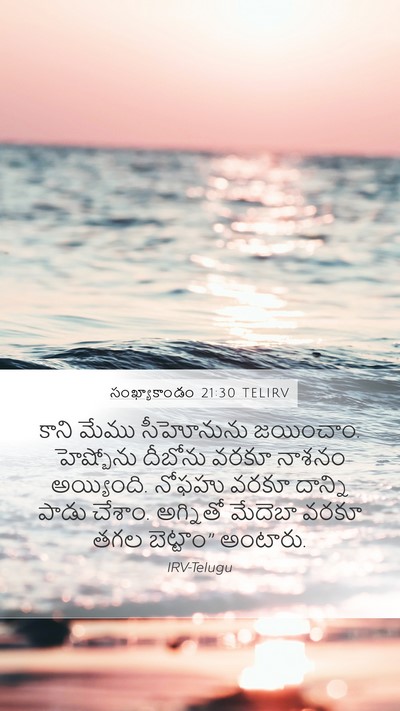 సంఖ్యాకాండం 21:30 TELIRV Mobile Phone Wallpaper - కాని మేము - Mobile Bible Verse Wallpaper