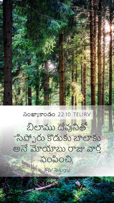 సంఖ్యాకాండం 22:10 TELIRV Mobile Phone Wallpaper - బిలాము దేవునితో - Mobile Bible Verse Wallpaper