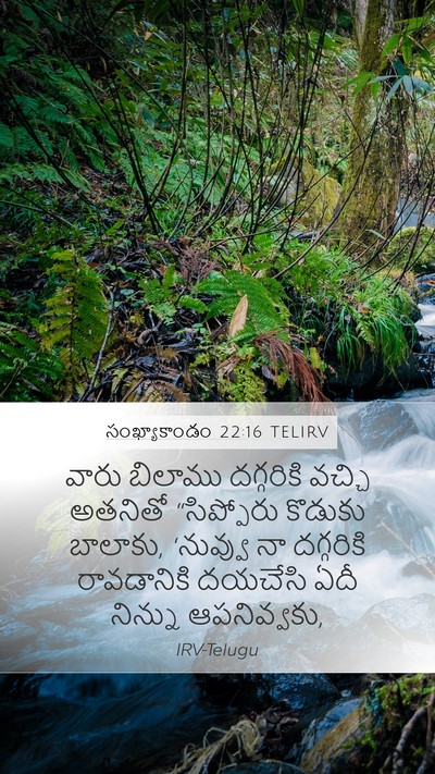 సంఖ్యాకాండం 22:16 TELIRV Mobile Phone Wallpaper - వారు బిలాము - Mobile Bible Verse Wallpaper
